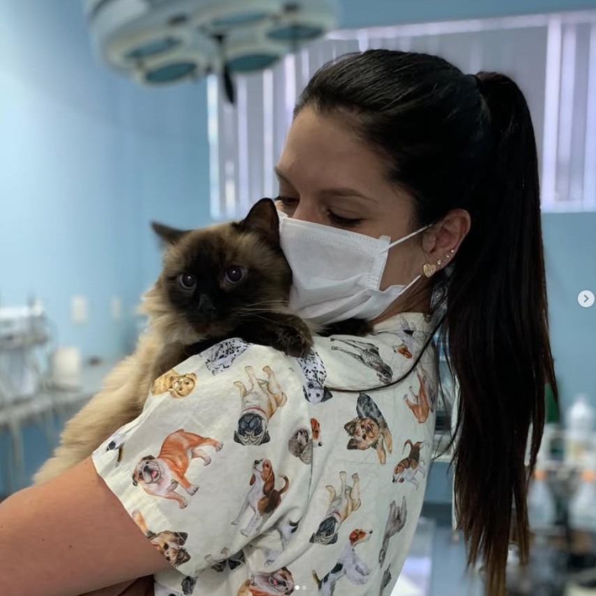 Veterinário cuidando de um cachorro na BadenVet em Campinas